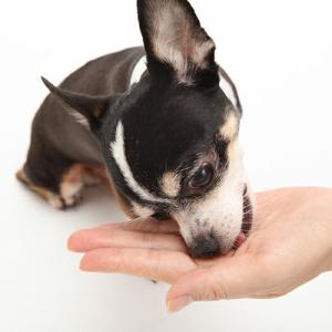 ジャパンペット メディボール 犬用 ビーフ味 ...の詳細画像2