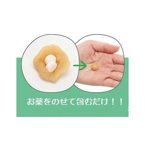 ジャパンペット メディボール 犬用 ビーフ味 ...の詳細画像4