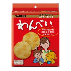乳酸菌デンタルパイ 480gx2袋 犬用おやつ : GYY - 通販 - Yahoo