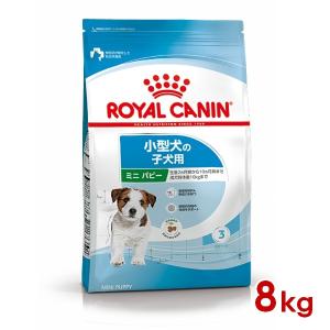 ロイヤルカナン SHN ミニ パピー 8kg (52901089) ※お一人様5個まで [犬 ドッグ ドライフード]｜familypet