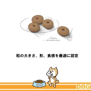 ロイヤルカナン CCN ミニ ライトウェイトケ...の詳細画像3
