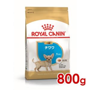 ロイヤルカナン BHN チワワ 子犬用 800g (52902119) ※お一人様5個まで [犬 ドッグ ドライフード]｜familypet