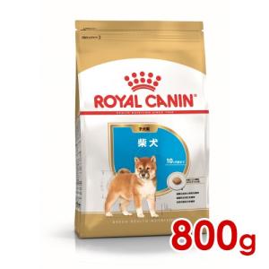 ロイヤルカナン BHN 柴犬 子犬用 800g (52902130) ※お一人様5個まで [犬 ドッグ ドライフード]｜familypet