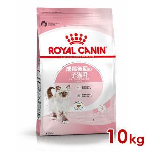 ロイヤルカナン FHN キトン 成長後期の子猫用 10kg (52905071) ※お一人様5個まで [猫 キャット ドライフード]｜ペットファミリー アニマルボンズ