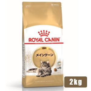 　CANIN スキン＆コート ドライ　2kg　猫用　療法食 楽天市場】【病院認証不要 在庫限り】ロイヤルカナン 猫 スキン&コート