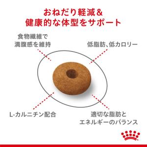 ロイヤルカナン FCN アペタイト コントロー...の詳細画像3