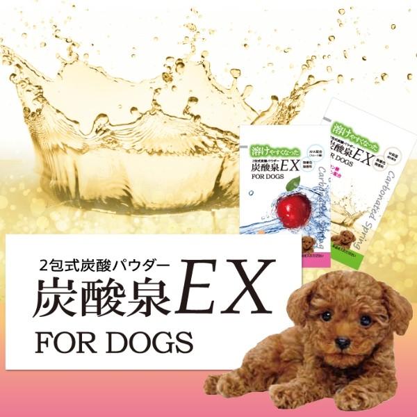 ハートランド 2包式炭酸パウダー 炭酸泉EX 24包入 （60000900）