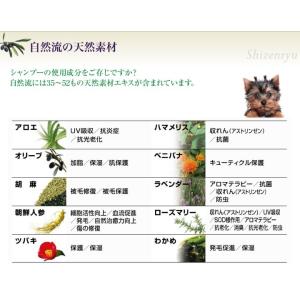 レッドハート 自然流 全犬種用シャンプー 30...の詳細画像5