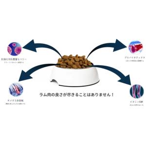 Y.K.エンタープライズ ADDICTION ...の詳細画像3