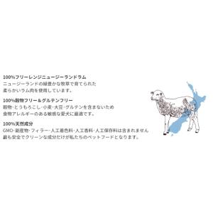 Y.K.エンタープライズ ADDICTION ...の詳細画像4