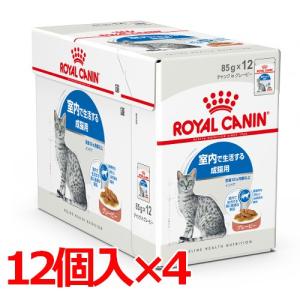 ロイヤルカナン FHN-WET インドア グレービー 85g×48 (s5290081) ※お一人様1個まで [猫 キャット ウェットフード]｜ペットファミリー アニマルボンズ