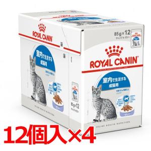 ロイヤルカナン FHN-WET インドア ゼリー 85g×48 (s5290082) ※お一人様1個まで [猫 キャット ウェットフード]｜familypet