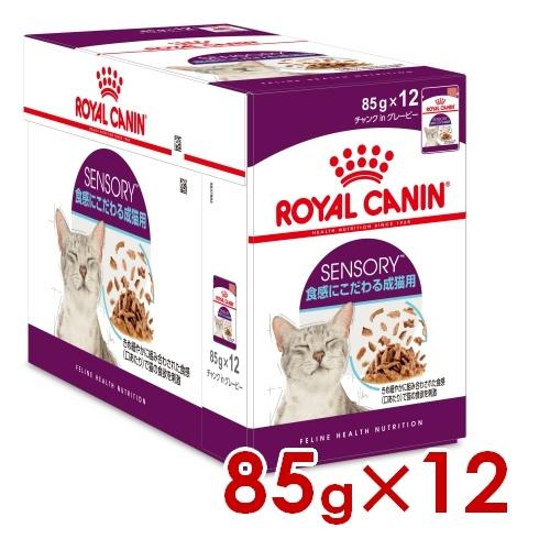 ロイヤルカナン FHN-WET センサリー フィール 食感にこだわる成猫用 85g×12 (s529...