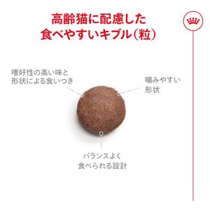 ロイヤルカナン FHN エイジング11+ 高齢...の詳細画像3