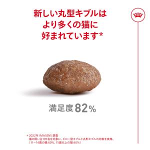 ロイヤルカナン FHN エイジング11+ 高齢...の詳細画像4