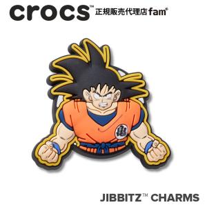 ジビッツ クロックス crocs【アクセサリー jibbitz ジビッツ】Dragon