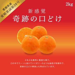 愛媛果試第28号 2kg みかん 送料無料 ギフト 柑橘 果汁 果物 高級 秀品 特選 特秀 小玉 大玉 高糖度 甘い 産地直送 贈答 家庭 ハウスみかん お歳暮