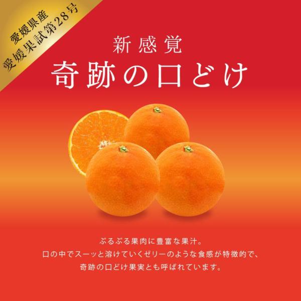 愛媛果試第28号 5kg みかん 送料無料 ギフト 柑橘 果汁 果物 高級 秀品 特選 特秀 小玉 ...