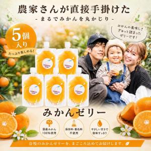 みかんゼリー 10個入 送料無料 保存料不使用 ...の商品画像