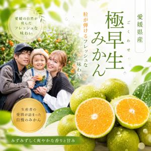 smnity - Yahoo!ショッピング