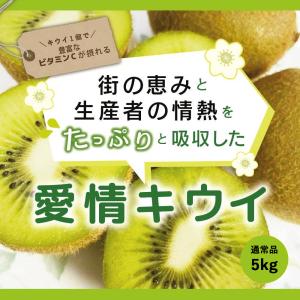 キウイ フルーツ 通常品 5kg 送料無料 国産 ギフト 果物 くだもの 家庭用 産地直送 お歳暮｜smnity