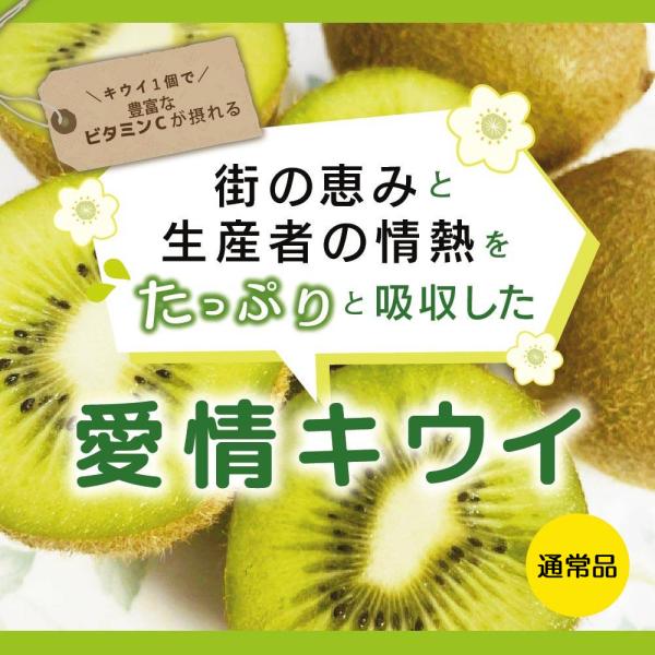 キウイ 通常品 【20組様限定！早割10%割クーポン！】 【残19個】 送料無料 2kg 5kg 1...