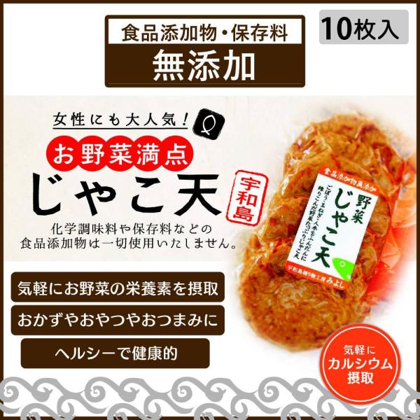 野菜じゃこ天 10枚入 お取り寄せ 魚 バーベキュー ギフト 無添加 グルメ 美味しい ヘルシー お...