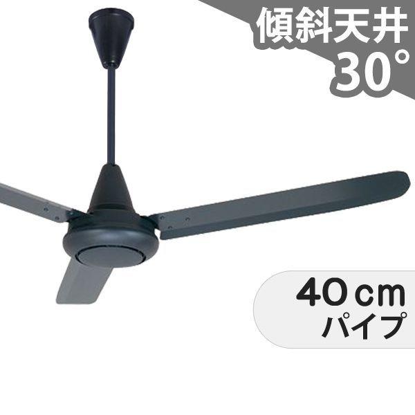 長期保証 大風量 吹き抜け 傾斜天井 三菱電機 シーリングファン EAC-016