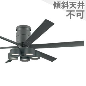 DULTON（ダルトン） 長期保証 SINGLE SPIN CANVAS BLADES DT18-CF08OW