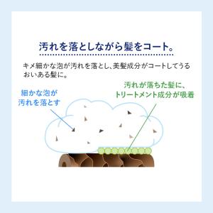 ツヤゴロモ ミネラルリペア シャンプー 2本 ...の詳細画像3