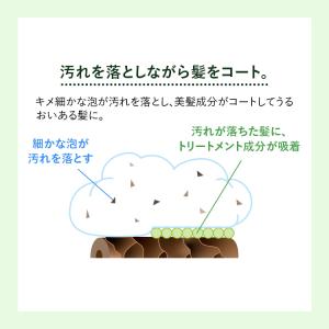ツヤゴロモ バイタルボリューム シャンプー 1...の詳細画像3