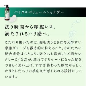 ツヤゴロモ バイタルボリューム トリートメント...の詳細画像2