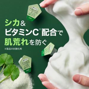 ディープクリア洗顔パウダー CICA&VC 3...の詳細画像1