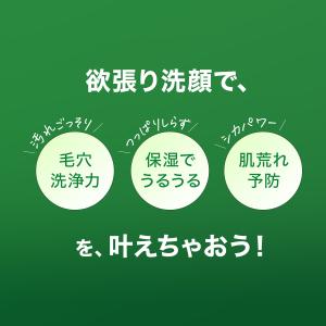 ディープクリア洗顔パウダー CICA&VC 3...の詳細画像2