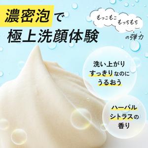 ディープクリア洗顔パウダー クリアネスVC 3...の詳細画像4