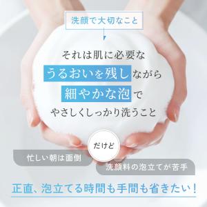 ピュアモイスト 泡洗顔料 レフィル 2袋 洗顔...の詳細画像4