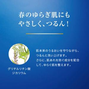 ブライトニング洗顔パウダーC+ 3本 洗顔パウ...の詳細画像3
