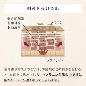 ブライトニング 化粧液 医薬部外品 化粧水 シ...の詳細画像4