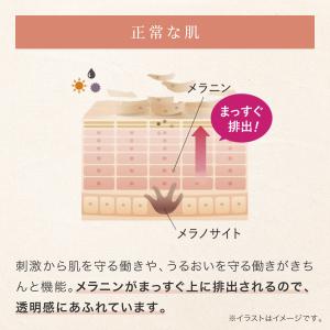 ブライトニング 化粧液 医薬部外品 化粧水 シ...の詳細画像5