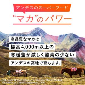 マカ 30日分 サプリメント サプリ マカサプ...の詳細画像5