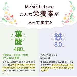 Mama Lula ママルラ 葉酸 & 鉄プラ...の詳細画像4