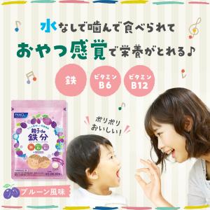 親子de 鉄分 栄養機能食品 90〜180日分...の詳細画像1