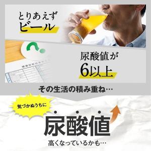 尿酸サポート 機能性表示食品 30日分 サプリ...の詳細画像2