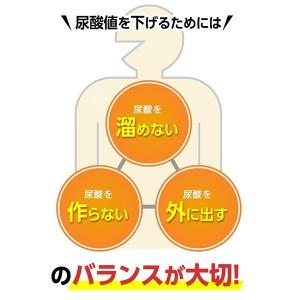 尿酸サポート 機能性表示食品 30日分 サプリ...の詳細画像3