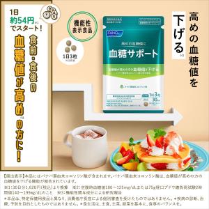血糖サポート 機能性表示食品 90日分 サプリ...の詳細画像1