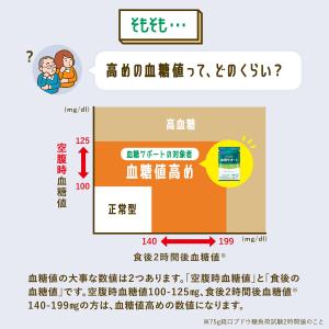 血糖サポート 機能性表示食品 90日分 サプリ...の詳細画像4