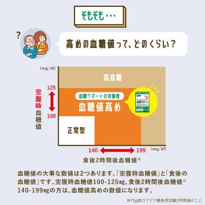 血糖サポート 機能性表示食品 30日分 高め ...の詳細画像4
