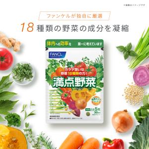 満点野菜 30日分 サプリ サプリメント 野菜...の詳細画像1