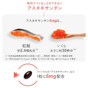 アスタキサンチン 乳化吸収型 90日分 サプリ...の詳細画像2