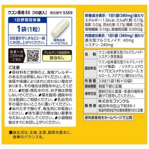 ウコン革命EX 10日分 10袋 サプリメント...の詳細画像3